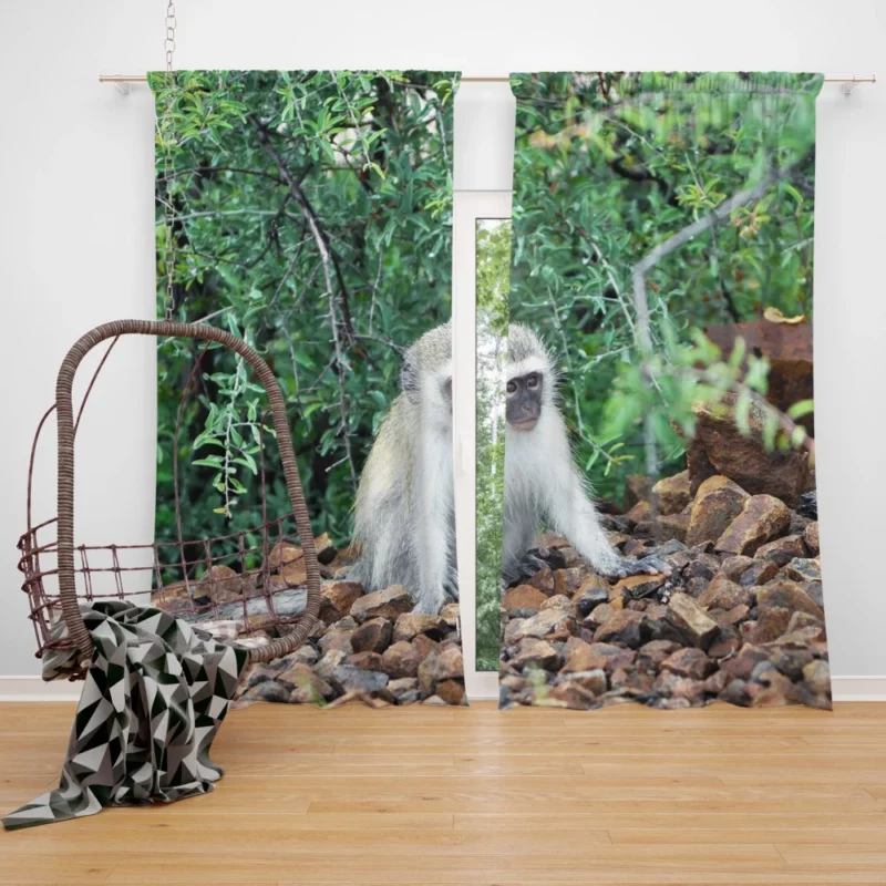 Mischievous Monkey Jungle Adventure Curtain