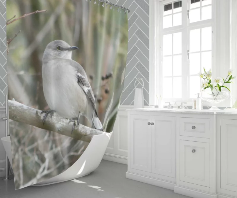 Mockingbird Melodic Repertoire Songful Companion Shower Curtain 1