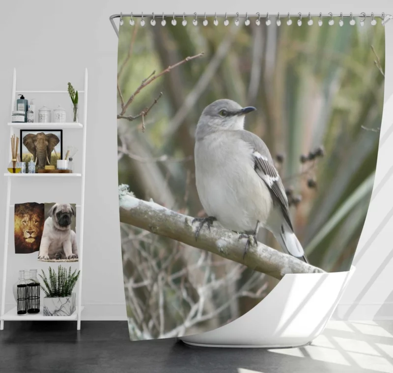 Mockingbird Melodic Repertoire Songful Companion Shower Curtain