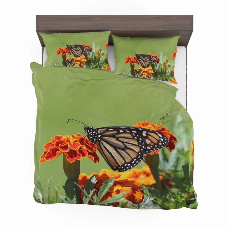 Monarch Butterfly Macro Majesty Bedding Set 1