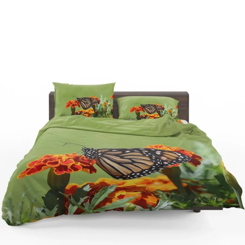 Monarch Butterfly Macro Majesty Bedding Set