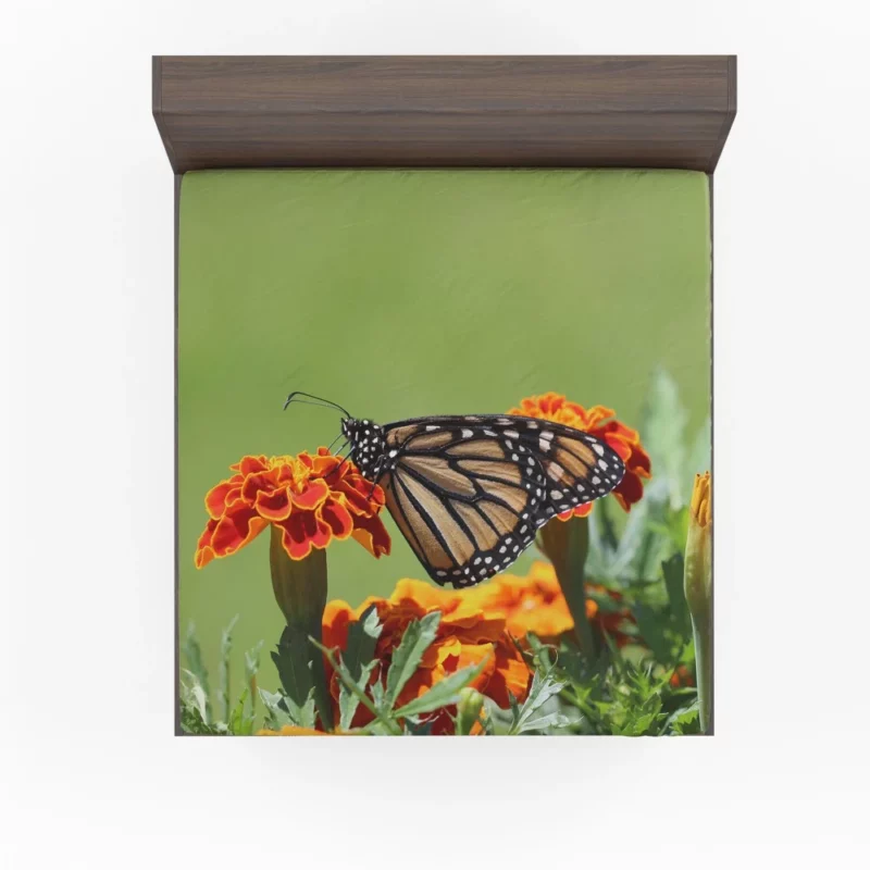 Monarch Butterfly Macro Majesty Fitted Sheet 1