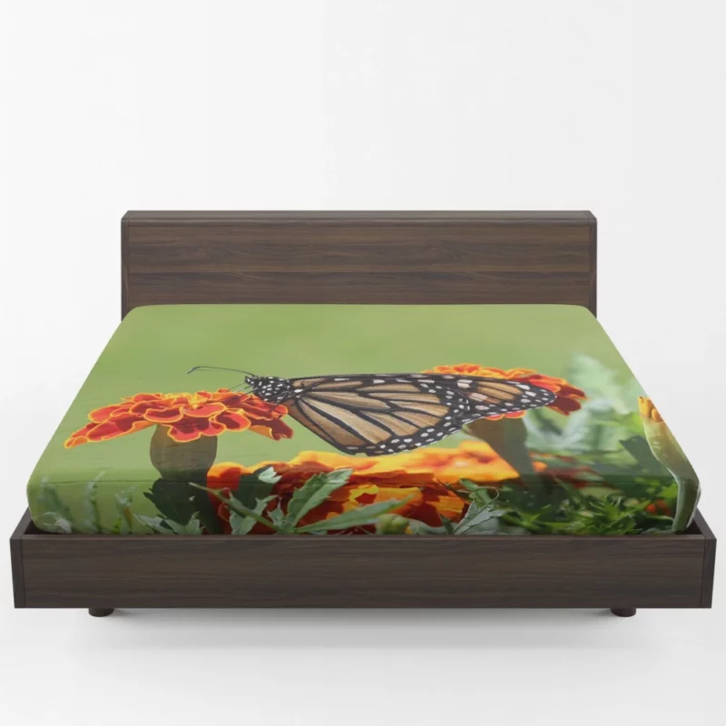 Monarch Butterfly Macro Majesty Fitted Sheet