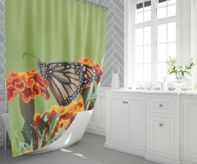 Monarch Butterfly Macro Majesty Shower Curtain 1