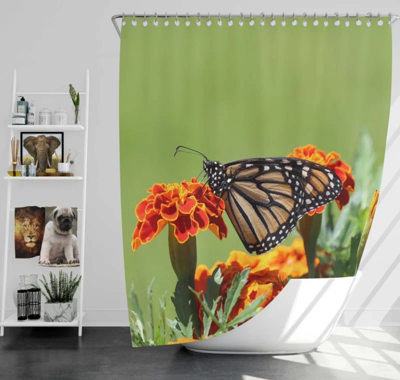 Monarch Butterfly Macro Majesty Shower Curtain