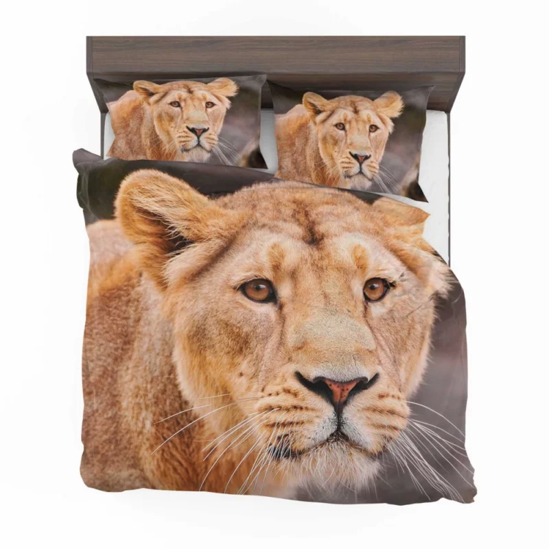 Monarch Roar Lion Sovereign Call Bedding Set 1