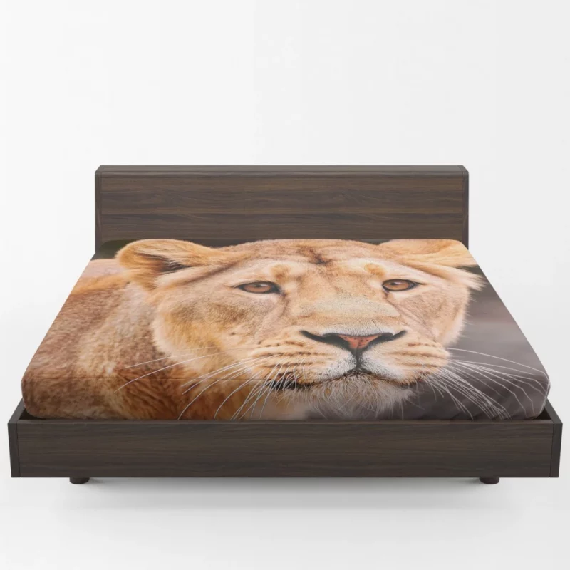 Monarch Roar Lion Sovereign Call Fitted Sheet