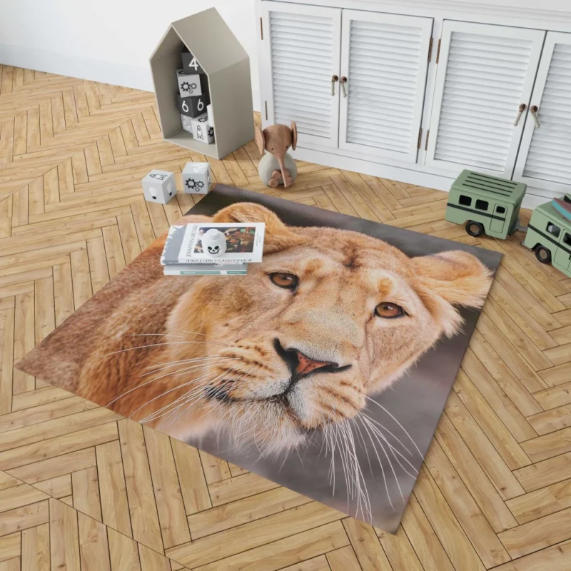 Monarch Roar Lion Sovereign Call Rug 1