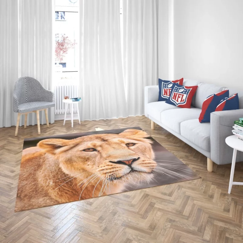 Monarch Roar Lion Sovereign Call Rug 2