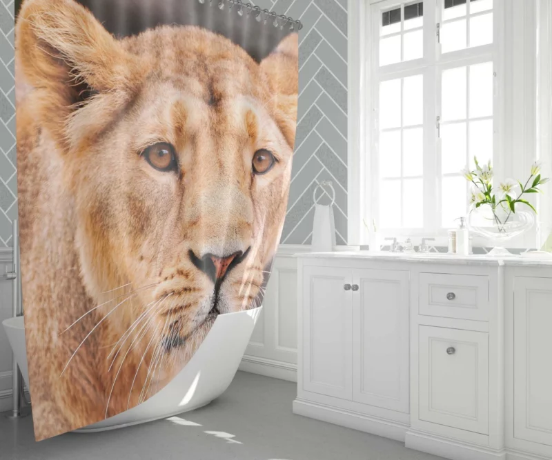 Monarch Roar Lion Sovereign Call Shower Curtain 1