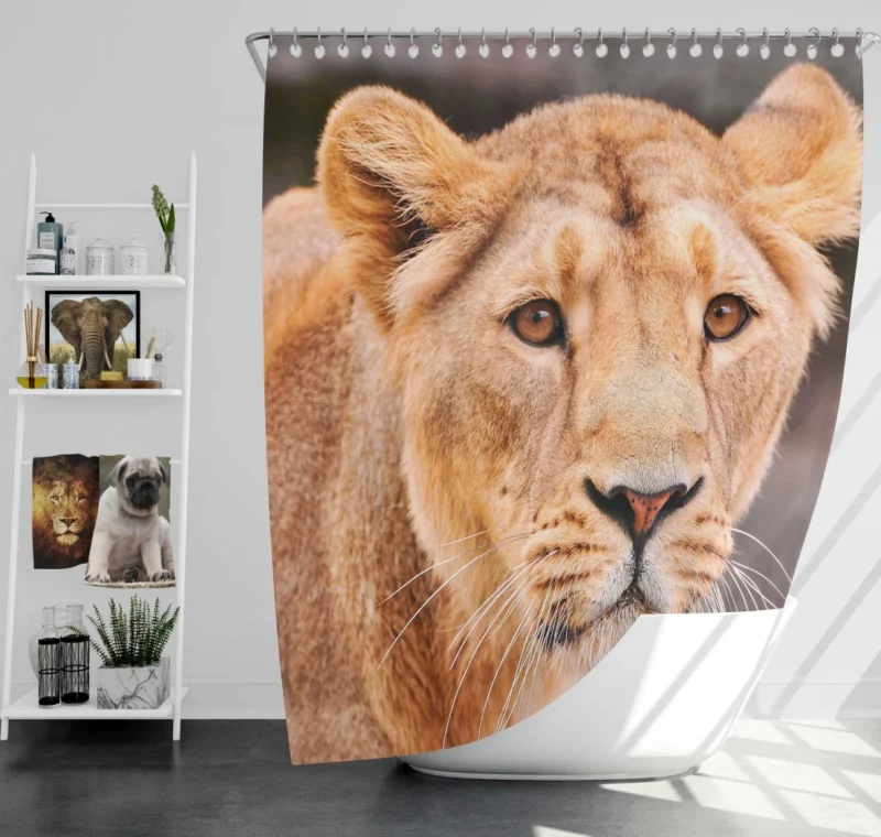 Monarch Roar Lion Sovereign Call Shower Curtain