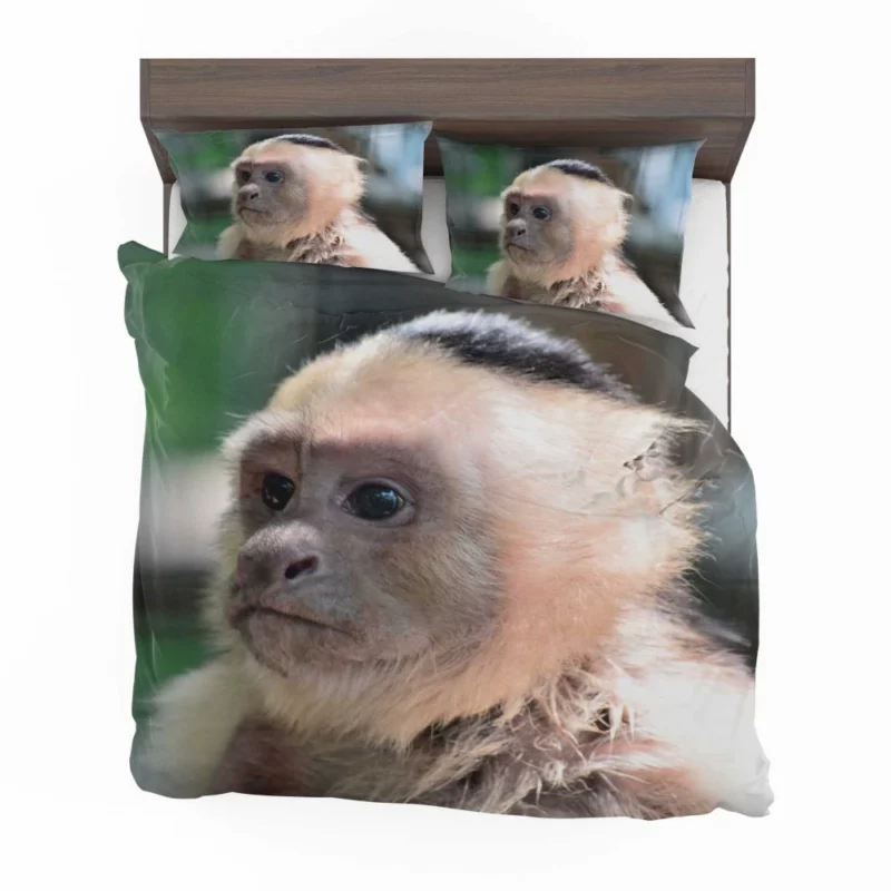 Monkey Curious Antics Primate Playfulness Bedding Set 1