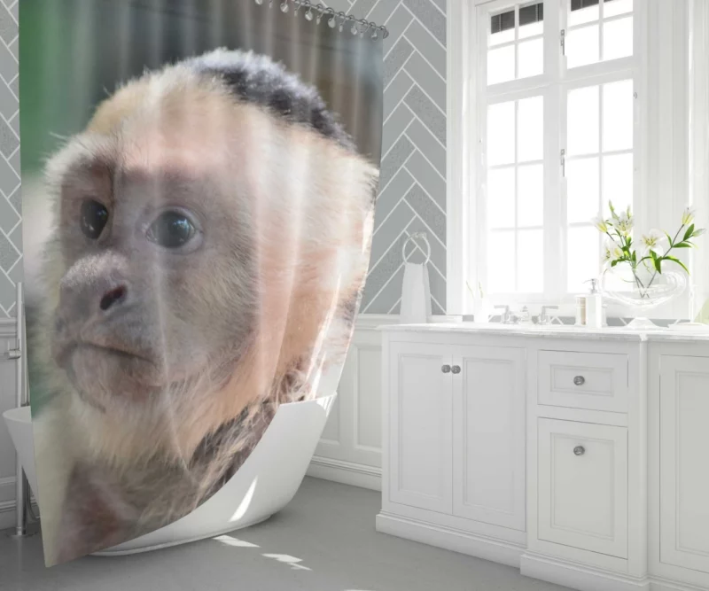 Monkey Curious Antics Primate Playfulness Shower Curtain 1