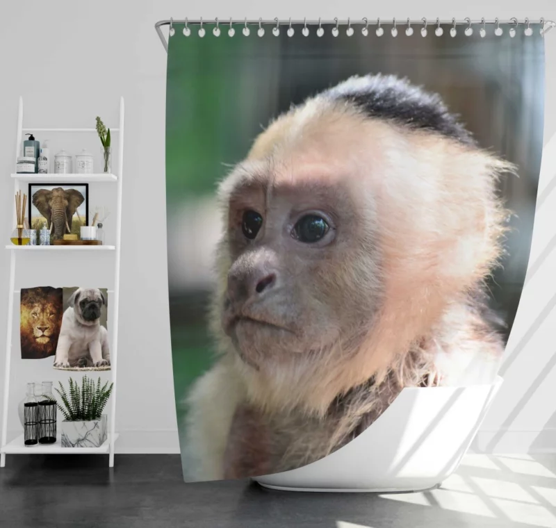 Monkey Curious Antics Primate Playfulness Shower Curtain