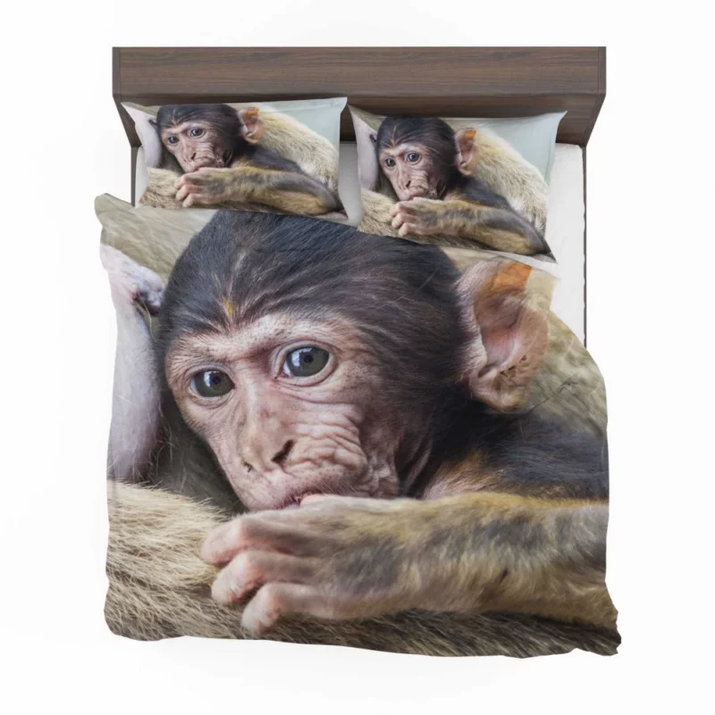 Monkey Innocent Charm Furry Playfulness Bedding Set 1