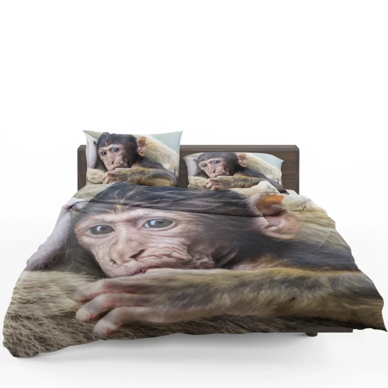 Monkey Innocent Charm Furry Playfulness Bedding Set