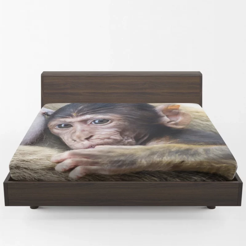 Monkey Innocent Charm Furry Playfulness Fitted Sheet