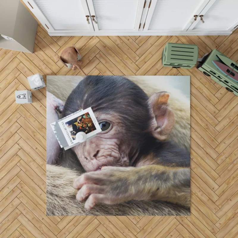 Monkey Innocent Charm Furry Playfulness Rug