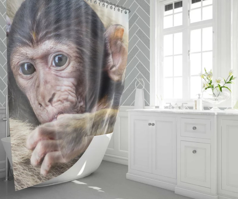 Monkey Innocent Charm Furry Playfulness Shower Curtain 1