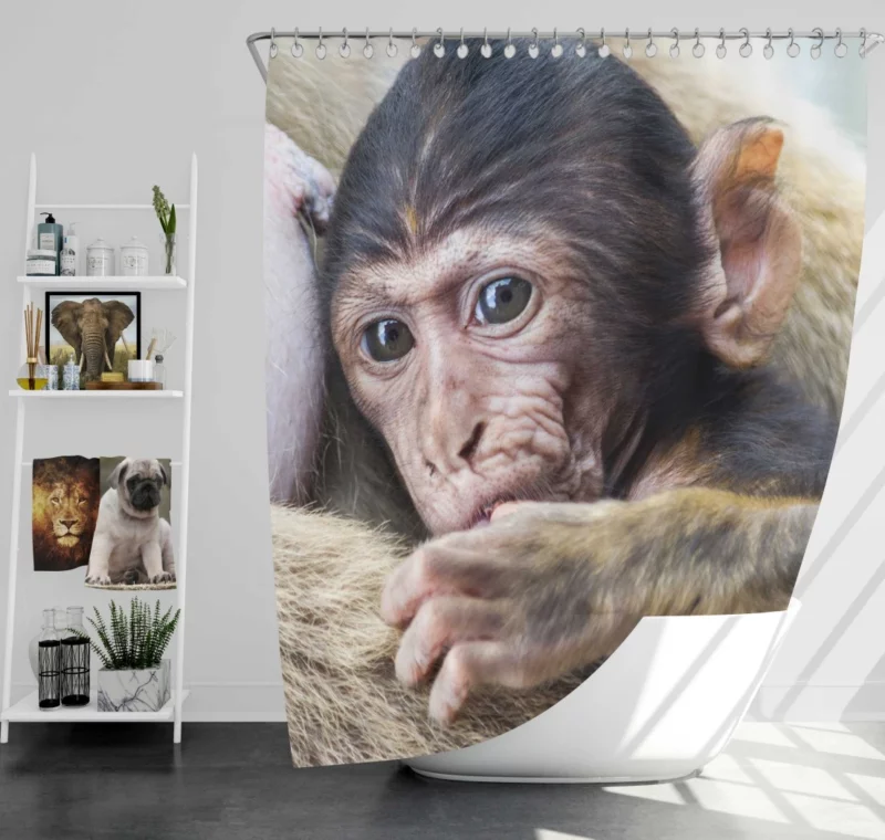 Monkey Innocent Charm Furry Playfulness Shower Curtain