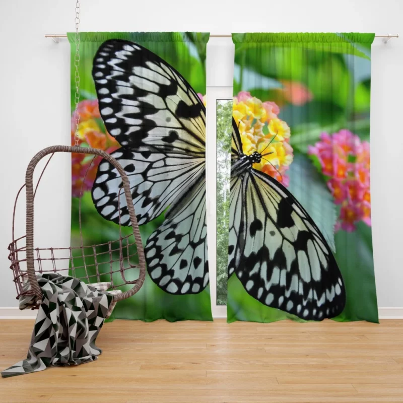 Monochrome Malabar Butterfly Floral Elegance Curtain