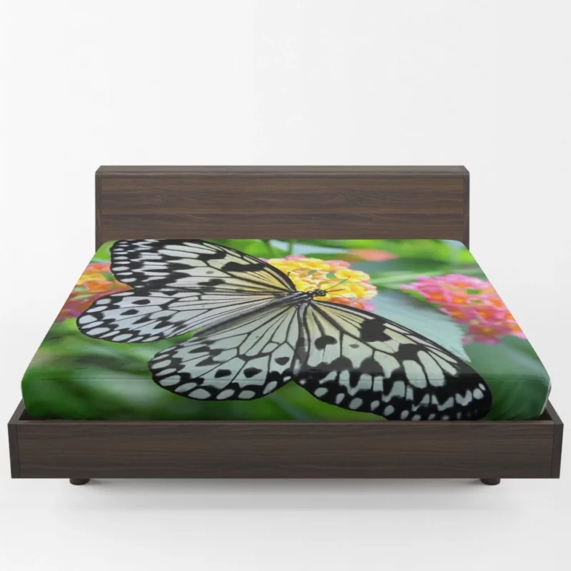 Monochrome Malabar Butterfly Floral Elegance Fitted Sheet