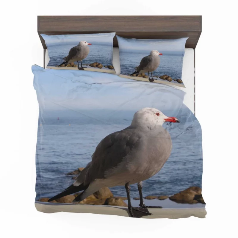 Monterey Gull Coastal Charm Seaside Bird Bedding Set 1