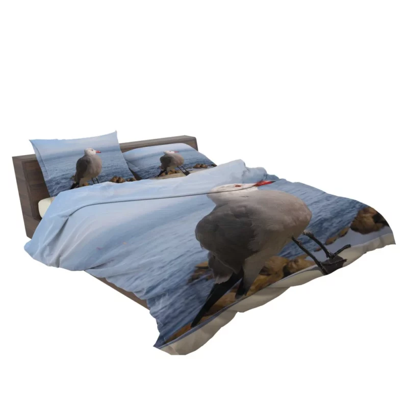 Monterey Gull Coastal Charm Seaside Bird Bedding Set 2