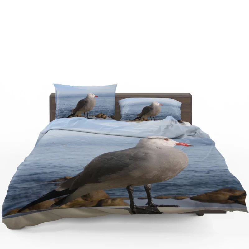 Monterey Gull Coastal Charm Seaside Bird Bedding Set