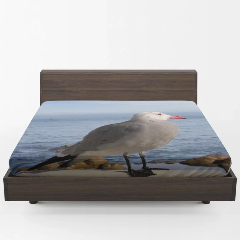 Monterey Gull Coastal Charm Seaside Bird Fitted Sheet