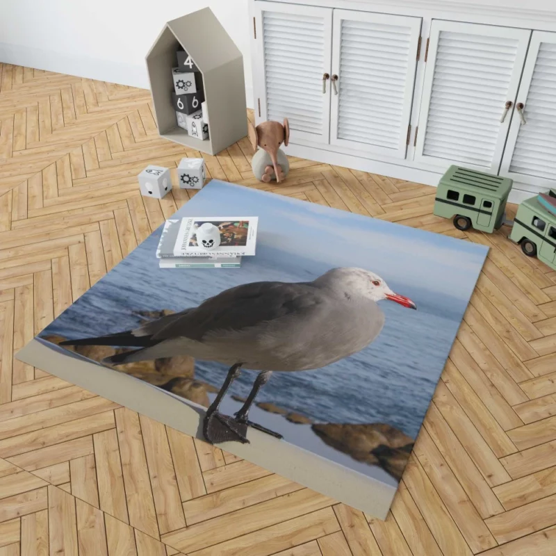 Monterey Gull Coastal Charm Seaside Bird Rug 1