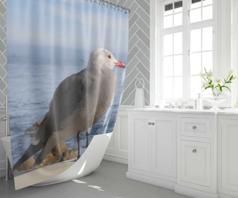 Monterey Gull Coastal Charm Seaside Bird Shower Curtain 1