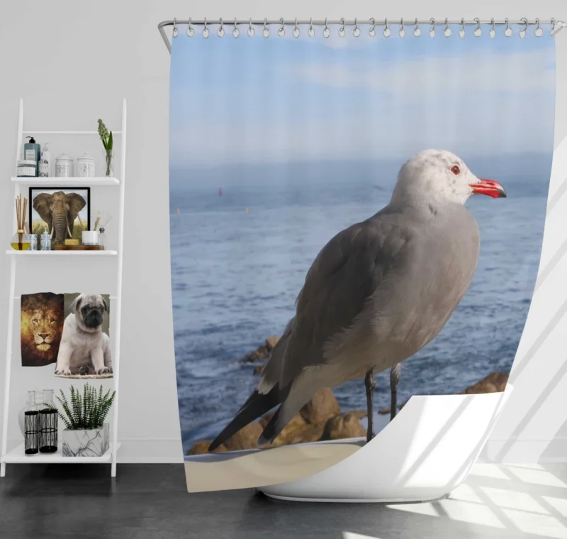 Monterey Gull Coastal Charm Seaside Bird Shower Curtain