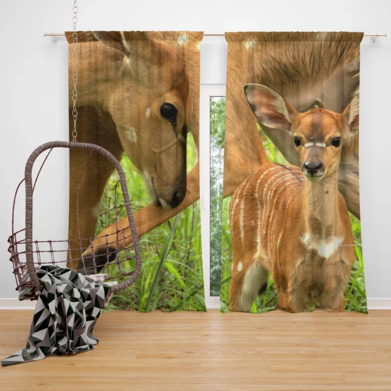 Mother Deer and Fawn Tender Love Curtain