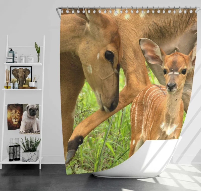 Mother Deer and Fawn Tender Love Shower Curtain