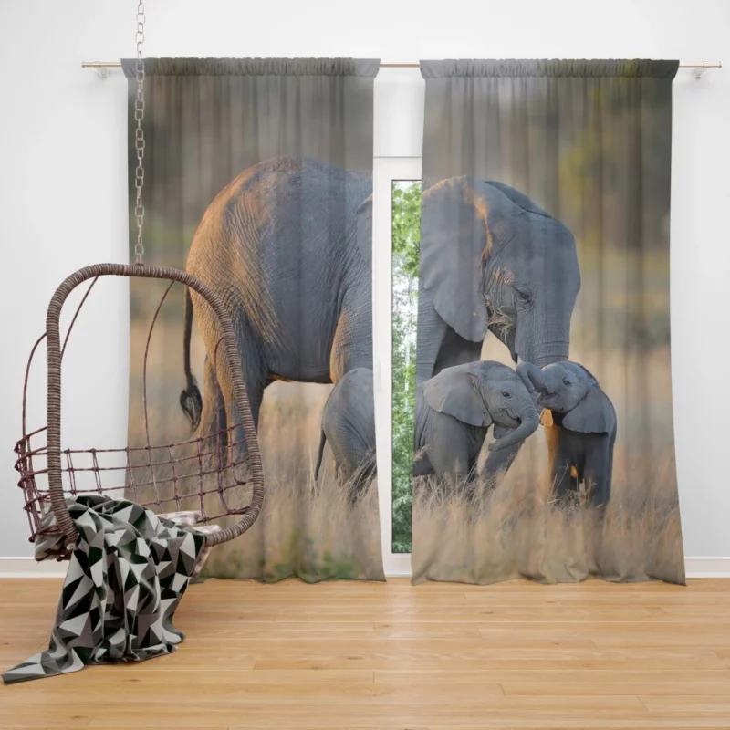 Mother Elephant & Adorable Babies Curtain