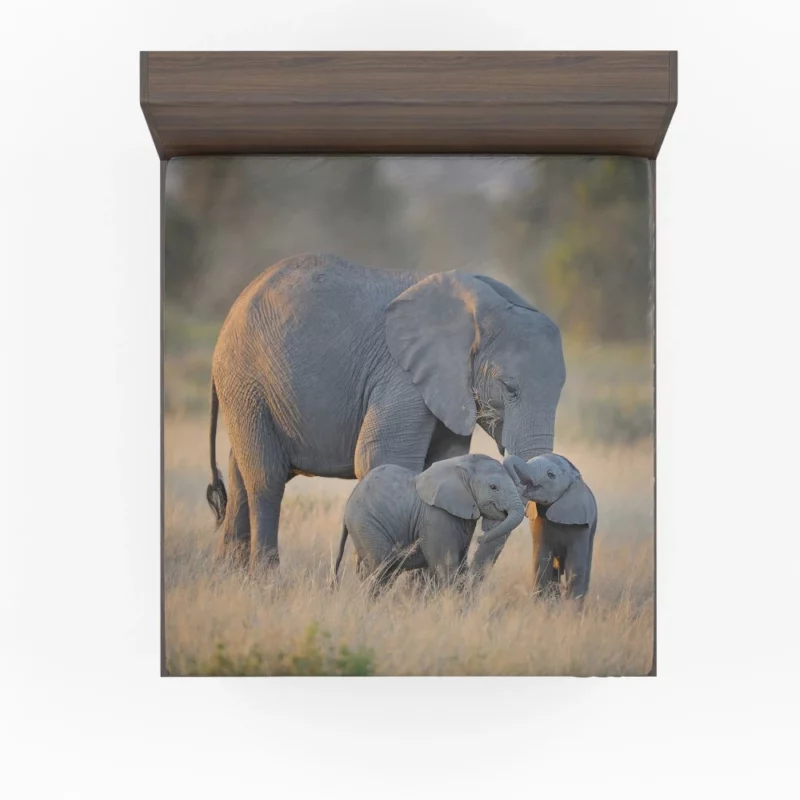 Mother Elephant & Adorable Babies Fitted Sheet 1