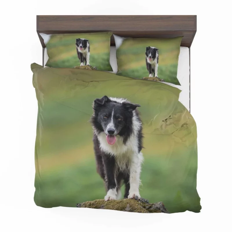 Mountain-Top Delight Border Collie Joy Bedding Set 1