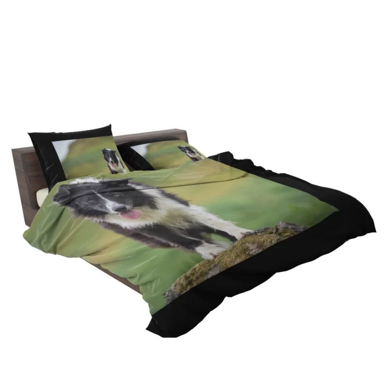 Mountain-Top Delight Border Collie Joy Bedding Set 2