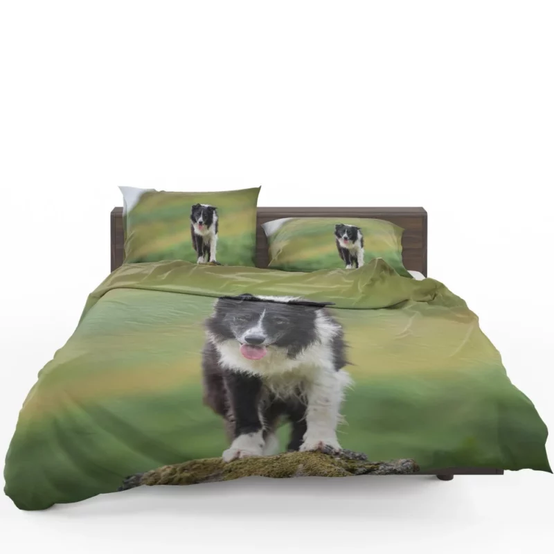 Mountain-Top Delight Border Collie Joy Bedding Set