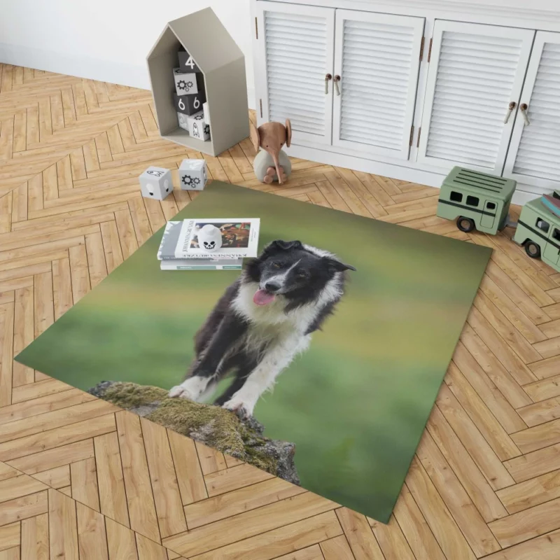 Mountain-Top Delight Border Collie Joy Rug 1