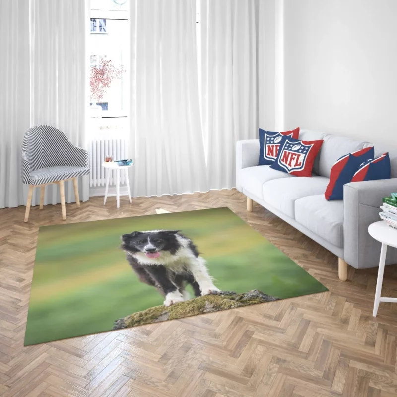 Mountain-Top Delight Border Collie Joy Rug 2