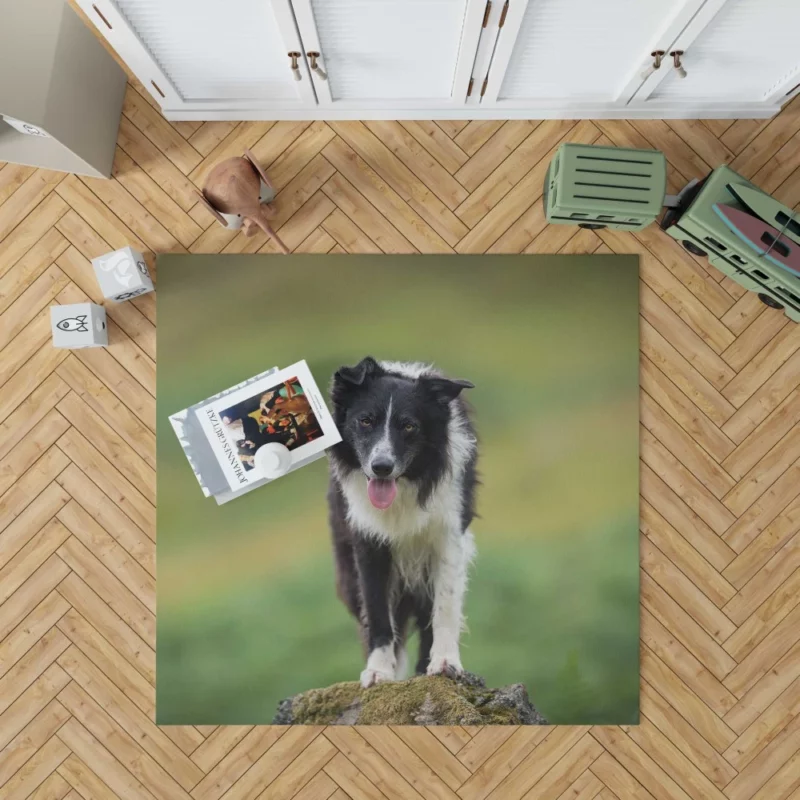 Mountain-Top Delight Border Collie Joy Rug