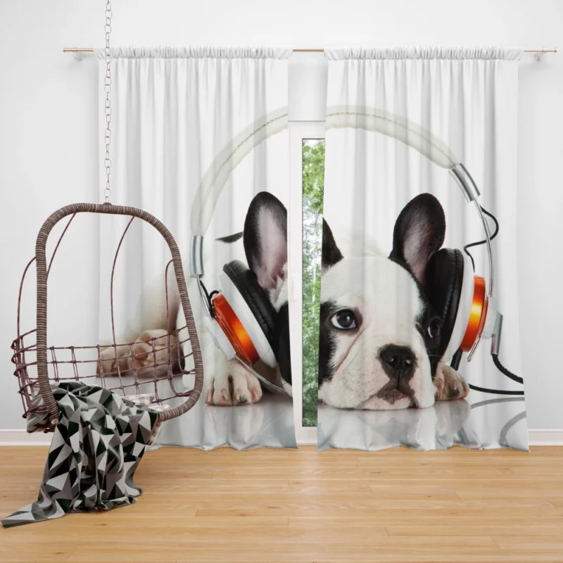 Music-Loving French Bulldog Furry Melodies Curtain