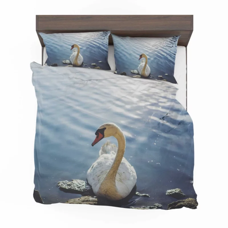 Mute Swan Graceful Glide Waterside Beauty Bedding Set 1