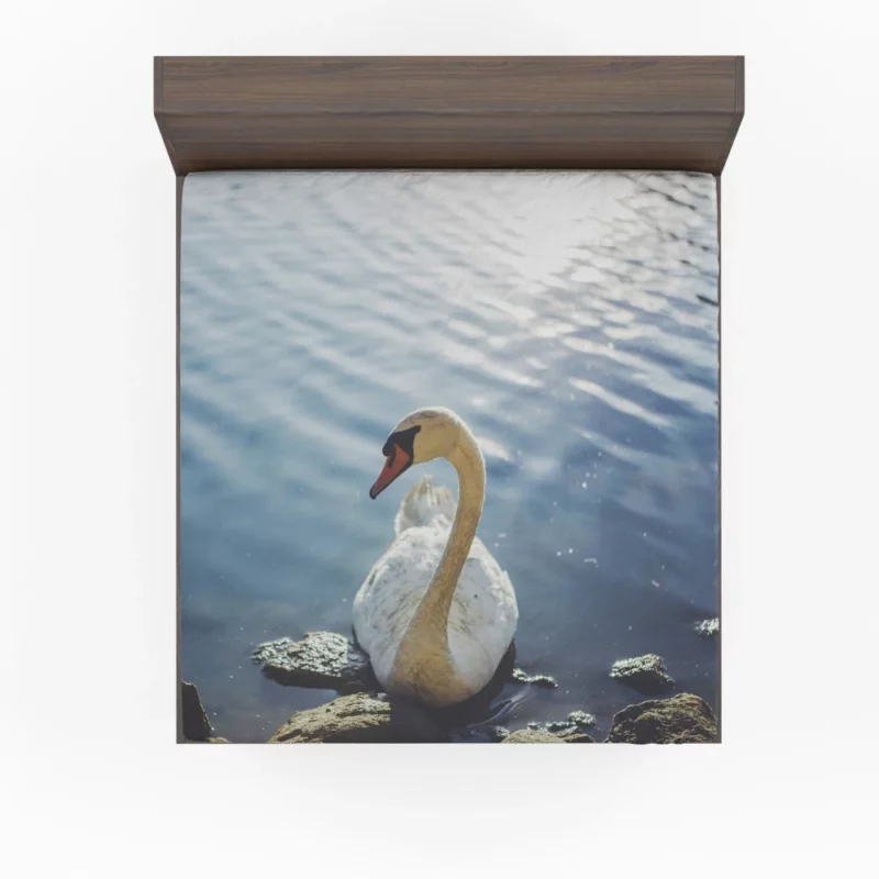 Mute Swan Graceful Glide Waterside Beauty Fitted Sheet 1