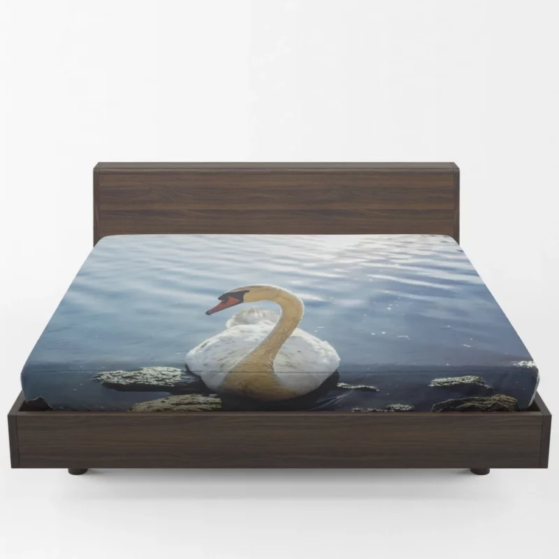 Mute Swan Graceful Glide Waterside Beauty Fitted Sheet