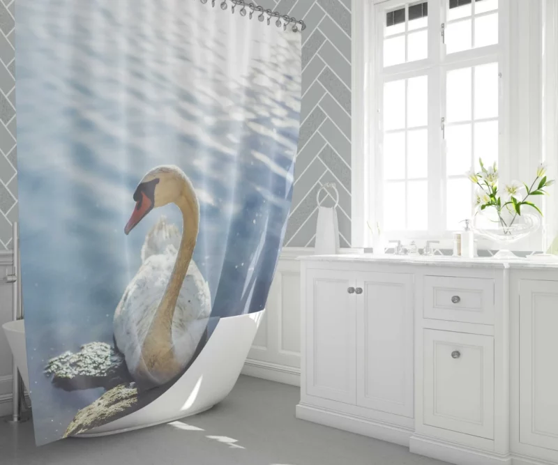 Mute Swan Graceful Glide Waterside Beauty Shower Curtain 1