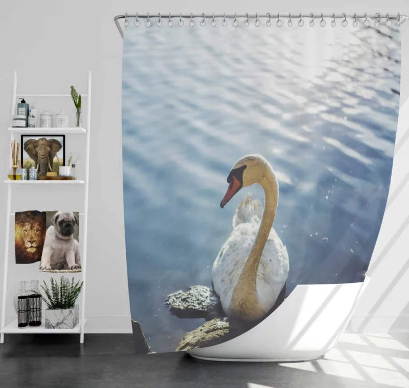 Mute Swan Graceful Glide Waterside Beauty Shower Curtain