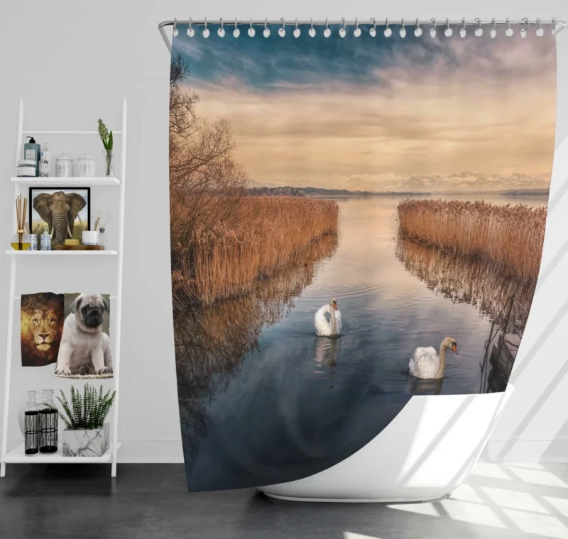 Mute Swan Lakeside Grace Serene Beauty Shower Curtain